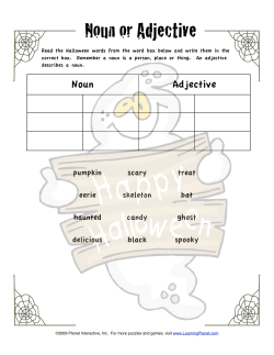 Noun or Adjective - LearningPlanet.com