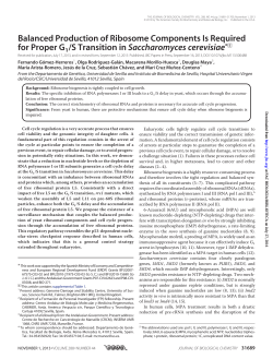 Balanced Production of Ribosome Components Is Required
