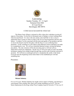 Leavening - Kneading Conference