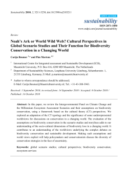 Noah`s Ark or World Wild Web? Cultural Perspectives in Global