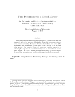 Firm Performance in a Global Market