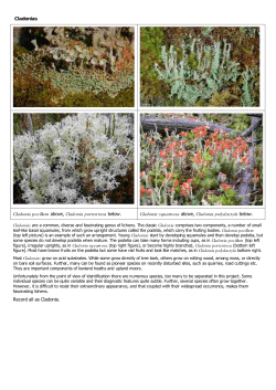 Next Steps Field Guide Part 1
