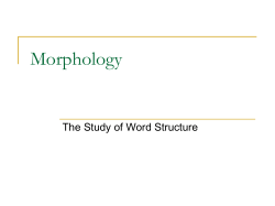 406-7-1 Morphology