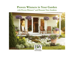 Proven Winners in Your Garden