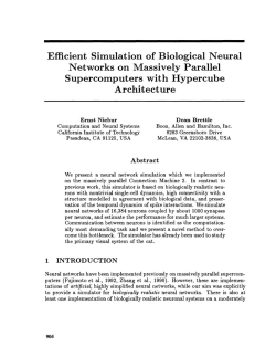 Efficient Simulation of Biological Neural Networks on Massively