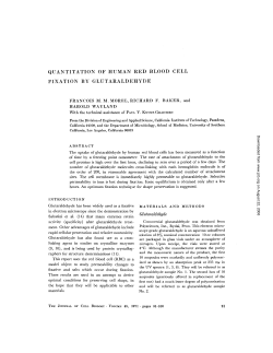 quantitation of human red blood cell fixation by glutaraldehyde
