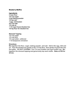 Blueberry Muffins Ingredients 2 cups flour 1/2 cup sugar 3 tsp baking