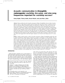 Acoustic communication in Drosophila melanogaster courtship: Are