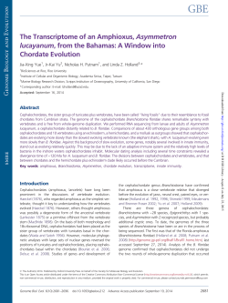 The Transcriptome of an Amphioxus, Asymmetron lucayanum, from