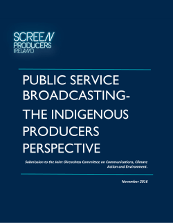 Screen Producers Ireland Submission