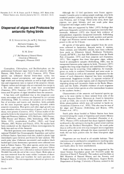 Dispersal of algae and Protozoa by antarctic flying birds