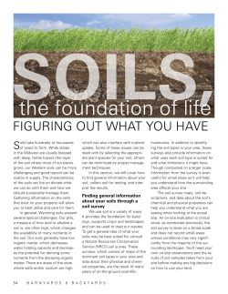 Soils, the foundation of life. Figuring you what you have