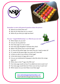 Easter Egg - National Support Partnership Ltd