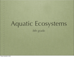 coastal ecosystems