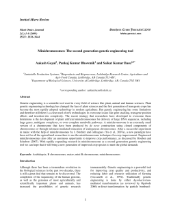 Invited Micro Review 1 Minichromosomes: The second