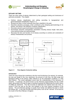 Estuary Setting - the Estuary Guide