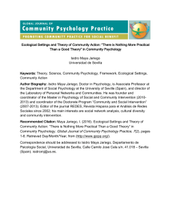 Isidro Maya Jariego Universidad de Sevilla Keywords: Theory