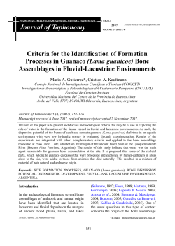 Bone Assemblages in Fluvial-Lacustrine Environments