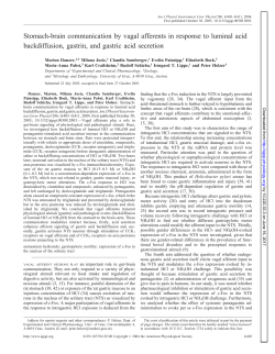 Stomach-brain communication by vagal afferents in response to