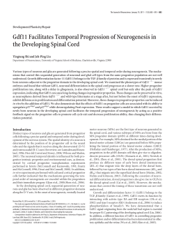 Gdf11 Facilitates Temporal Progression of Neurogenesis in the