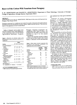 Race 6 of the Cotton-Wilt Fusarium from Paraguay