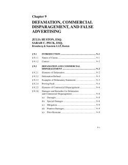 defamation, commercial disparagement, and false advertising