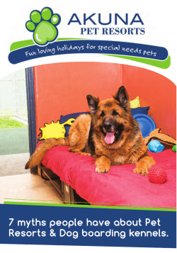 7 Myths About Pet Resorts