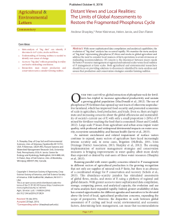Distant Views and Local Realities: The Limits of Global Assessments