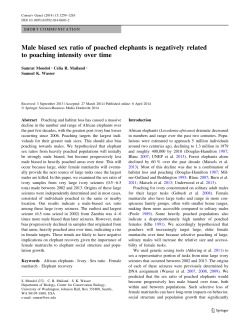Male biased sex ratio of poached elephants is negatively related