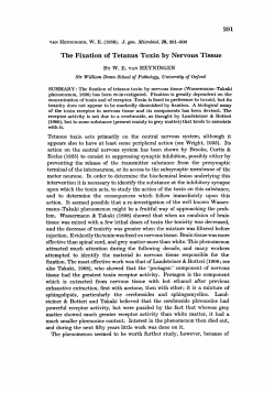 The Fixation of Tetanus Toxin by Nervous Tissue