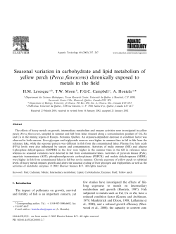 Seasonal variation in carbohydrate and lipid metabolism of yellow