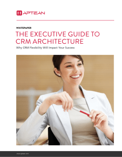 The Executive Guide to CRM Architecture: Why CRM Flexibility Will