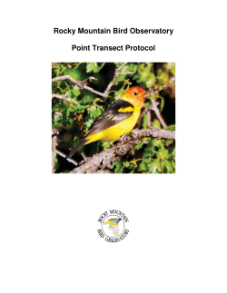Rocky Mountain Bird Observatory Point Transect Protocol