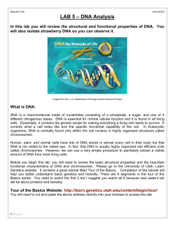 LAB 5 &ndash; DNA Analysis