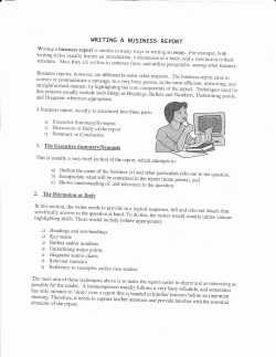 Business Report Guide