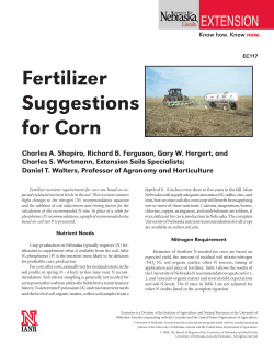 Fertilizer Suggestions for Corn