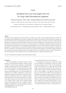 Red Blood Cell Lysis at the Single Cell Level by Using a Mini
