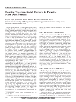 Dancing Together. Social Controls in Parasitic