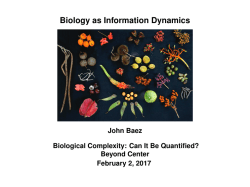Biology as Information Dynamics