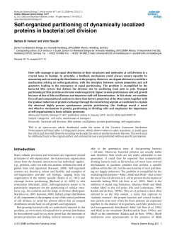Self‐organized partitioning of dynamically localized proteins in