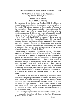 On the Division of Nuclei in the Mycetozoa.