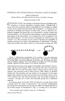 EVIDENCE FOR SISTER-STKAND CROSSING OVER IN