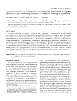 Agrobacterium tumefaciens-mediated transformation of rice
