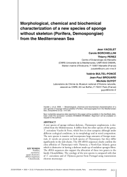 full article in PDF format