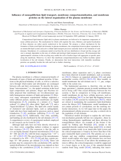 Influence of nonequilibrium lipid transport, membrane