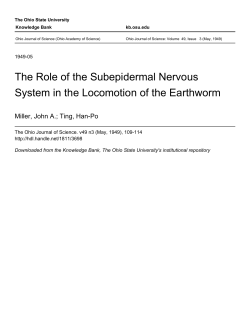 The Role of the Subepidermal Nervous System in