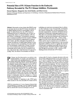 Potential Sites of PI-3 Kinase Function in the Endocytic Pathway