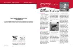 Natural Calf Disease Treatments
