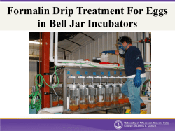 Formalin Drip Treatment For Eggs in Bell Jar Incubators