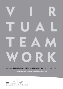 Making Cooperation Work in Leonardo da Vinci Projects